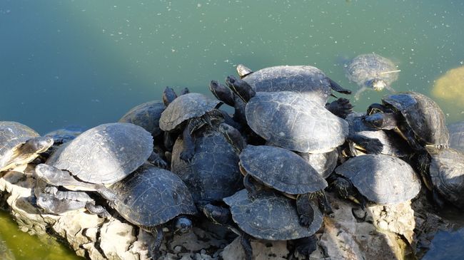 Roquetas de Mar