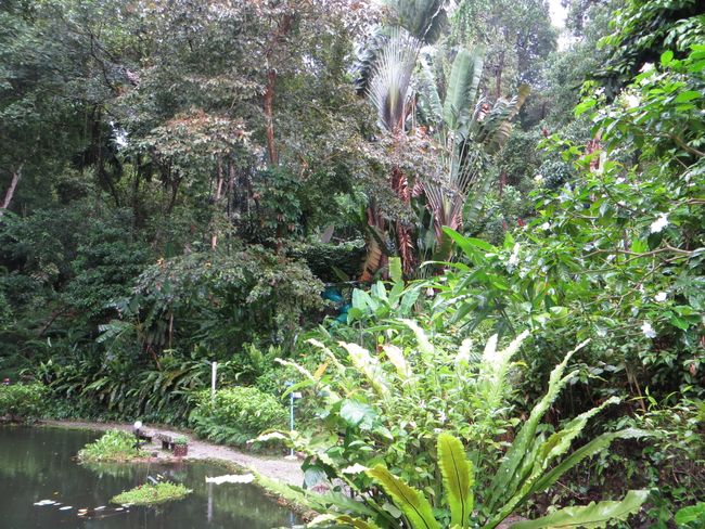 Пенанг 2 дахь өдөр: Амтлагчийн цэцэрлэг ба Сармагчны наран шарлагын газар