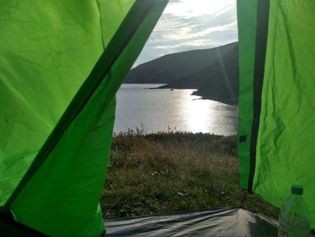 View from the tent