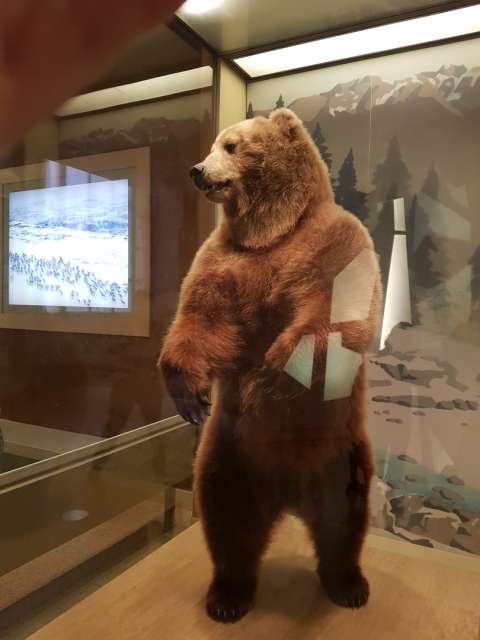 Impresiones del Museo Nacional de Historia Natural (incl. Diamante Hope)