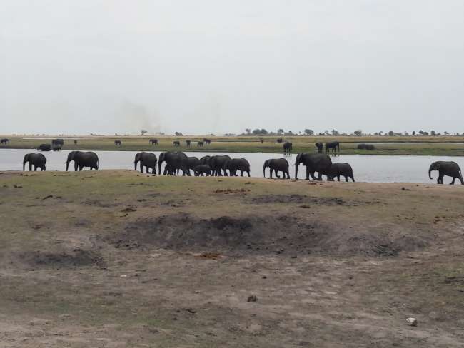 Taman Negara Kasane-Chobe