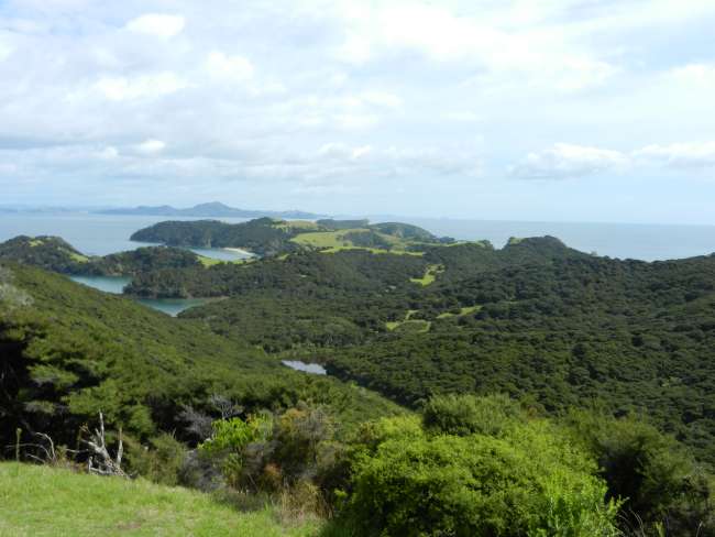 From Auckland to Lake Taupo