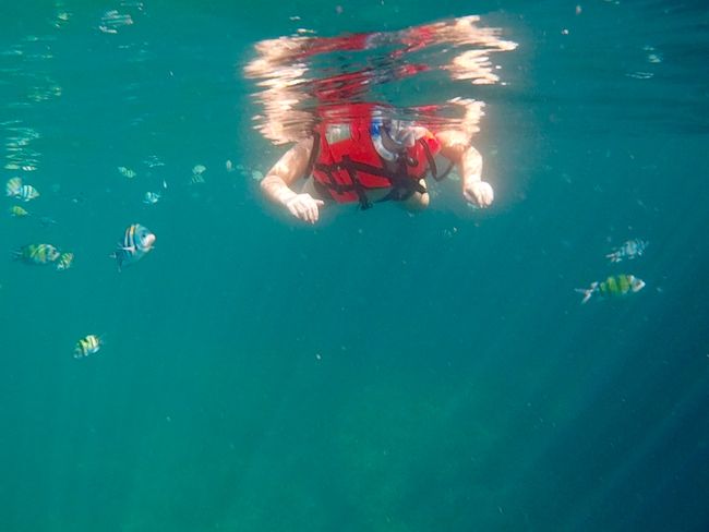 Snorkeling on the Phi Phi Islands