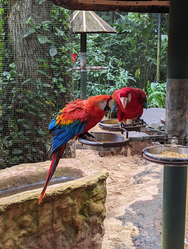 07.06.2022 - Vogelpark und Wasserfälle