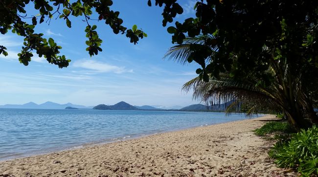 Palm Cove - The final stop on the East Coast