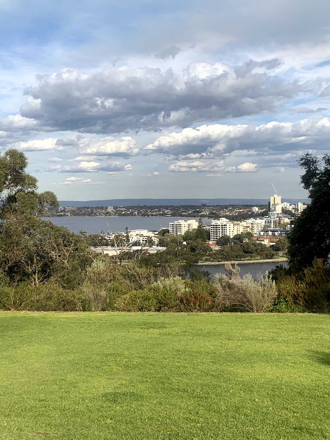 View of the City from the Botanic Garden