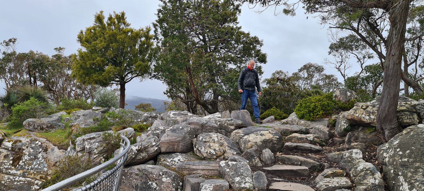 Day 10+11 - The Grampians, kangaroos with joeys