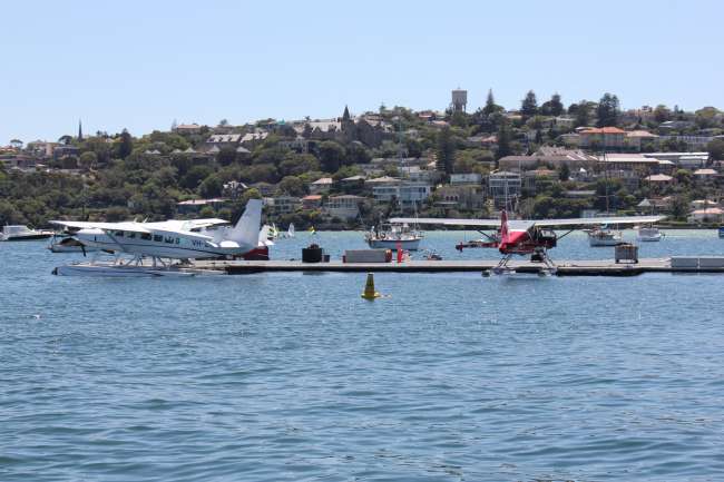 Wasserflugzeuge in Rose Bay
