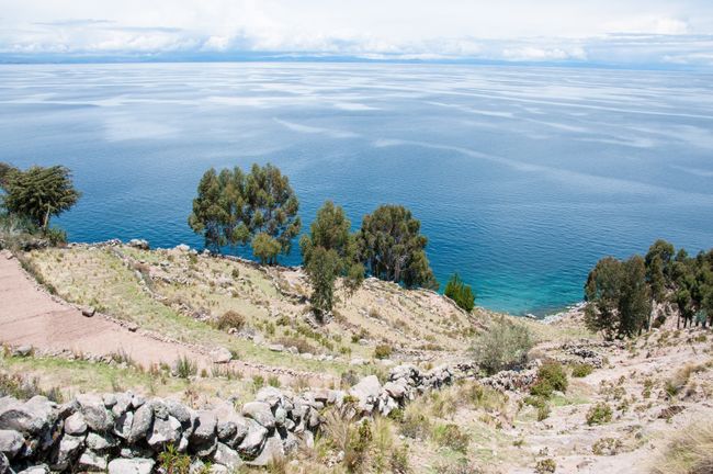 Puno, Titicacasee