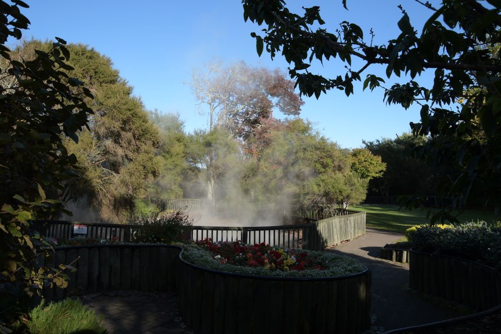 Rotorua - im Kuirau Park