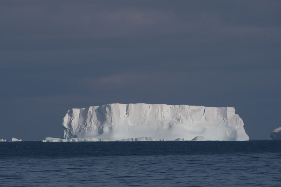 Iceberg