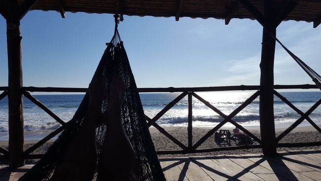 Surfing Turtle Lodge: View from the hammock
