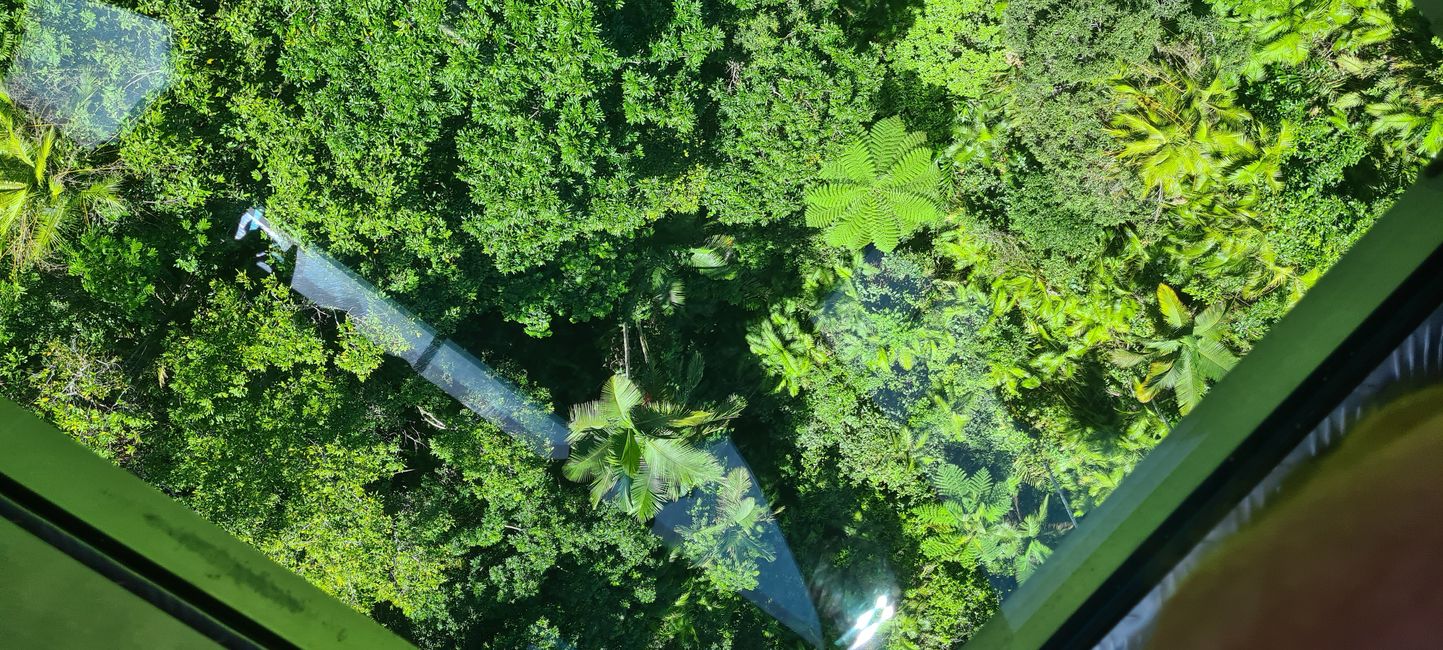 Day 14/15 - Kuranda