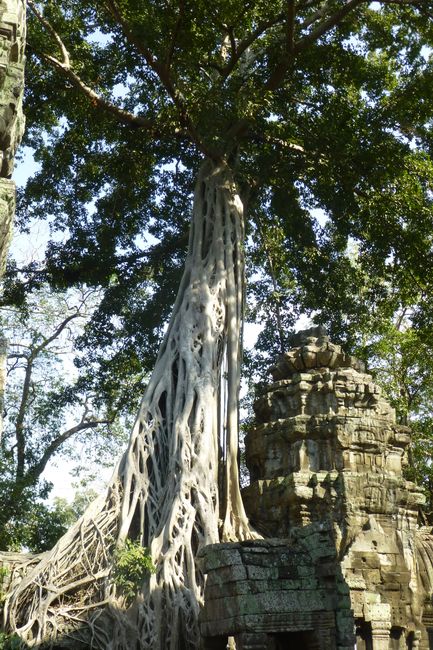 Kamboja Hari 3: Tur kuil kecil
