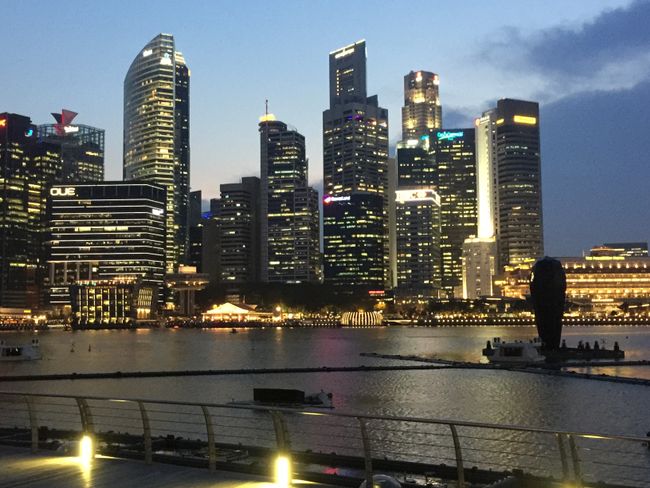 सिंगापुर - मेरे पास शब्द नहीं हैं