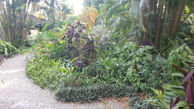 Sleeping Giant Botanical Garden