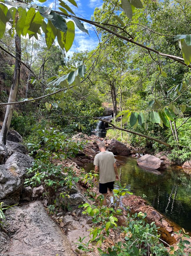 04.07.2023 - Excursions in Kakadu and Litchfield National Park