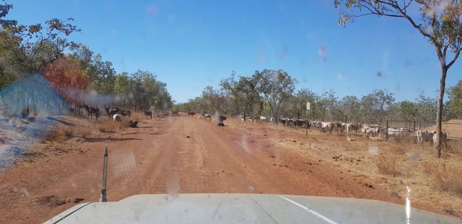 Savannah Way to Cairns