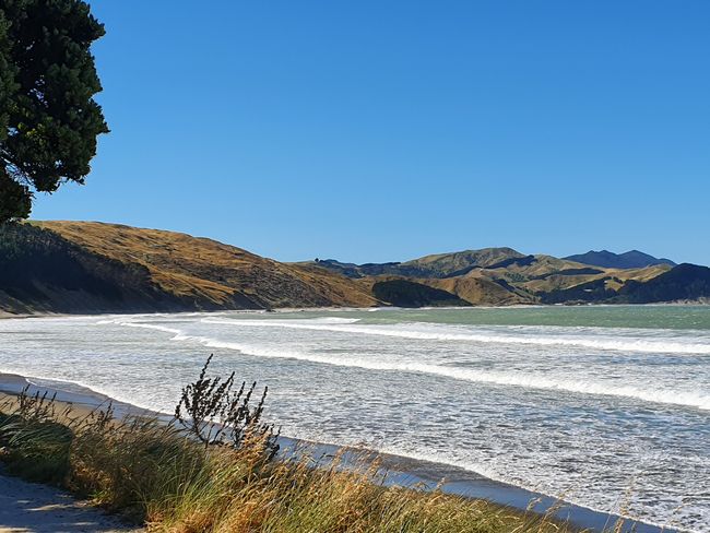 27.12.19 Cape Palliser & Back Country Roads to Castlepoint