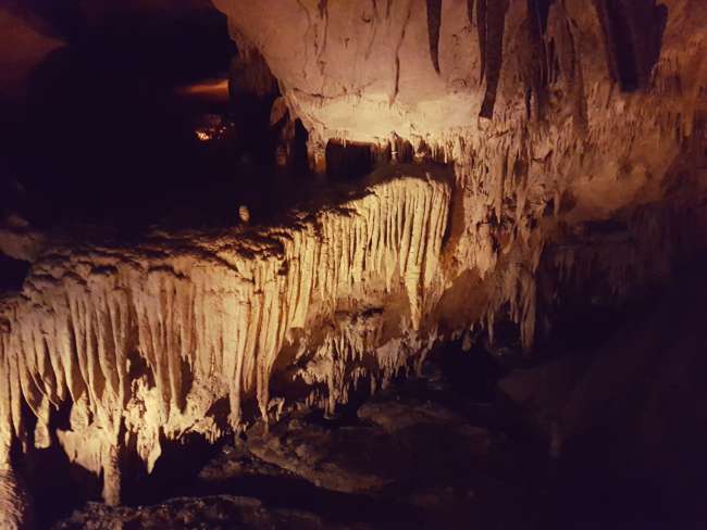 Mammoth Cave - Nashville