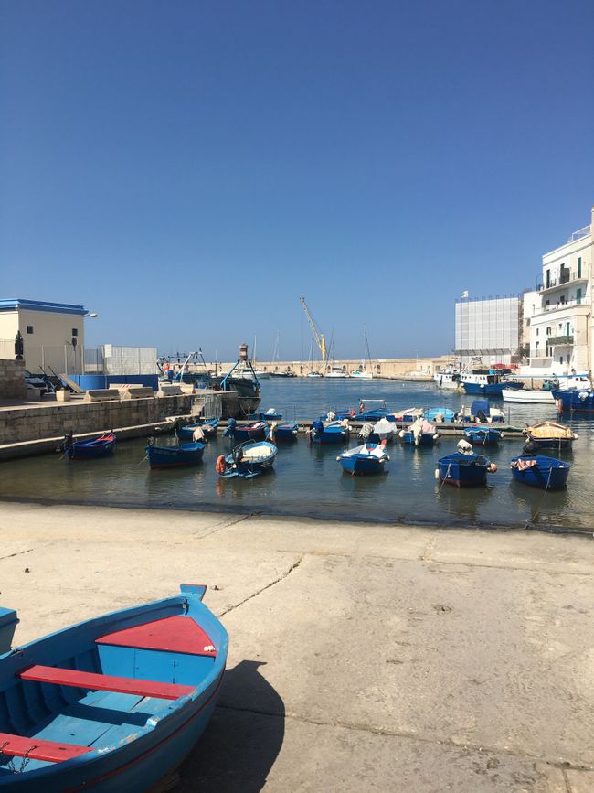 Der alte Hafen mit vielen kleinen blauen Booten
