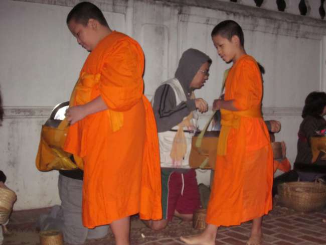 Daily alms-giving ceremony in Luang Prabang