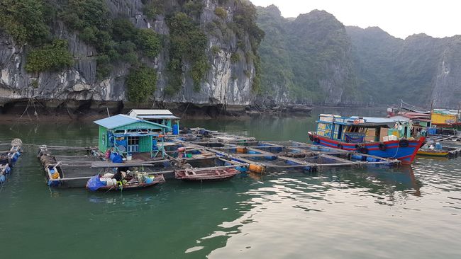 Vietnam: Cat Ba und Hanoi