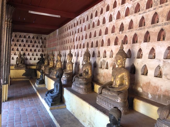 Viele Buddhas