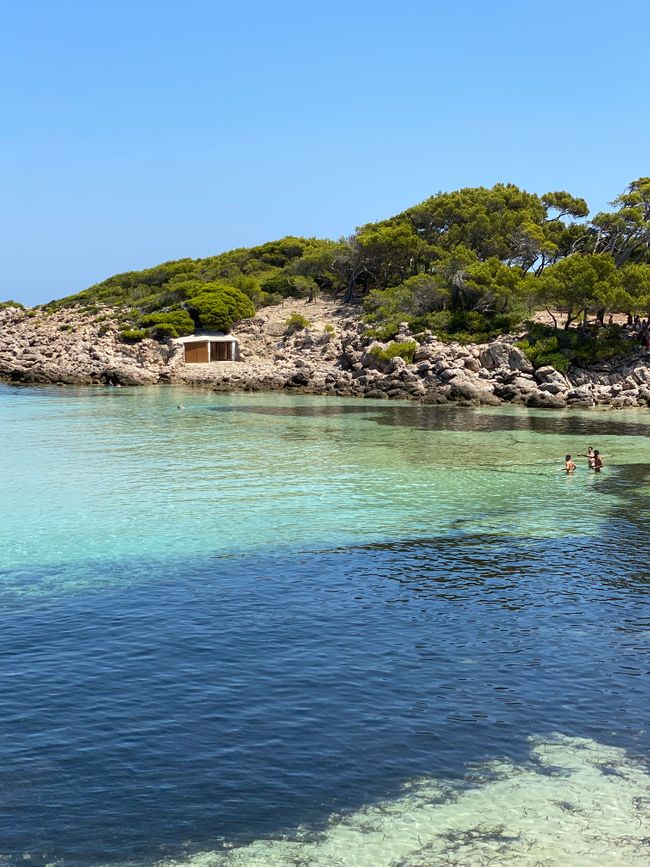 Cala — Hüpfen