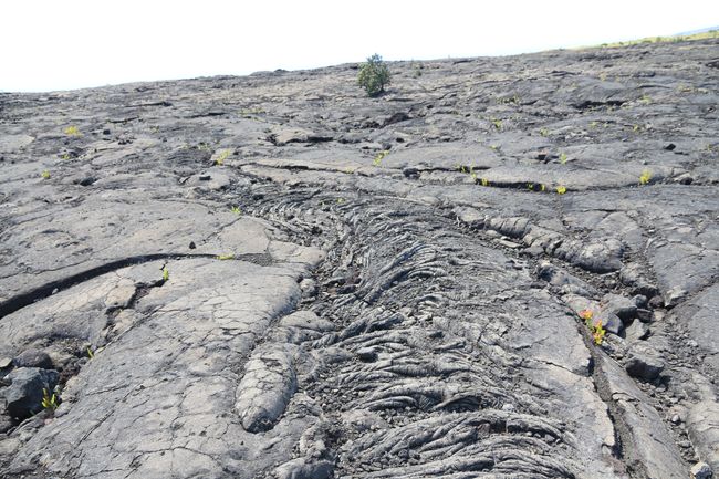 The Volcanoes National Park, the hunt for the lava part 2