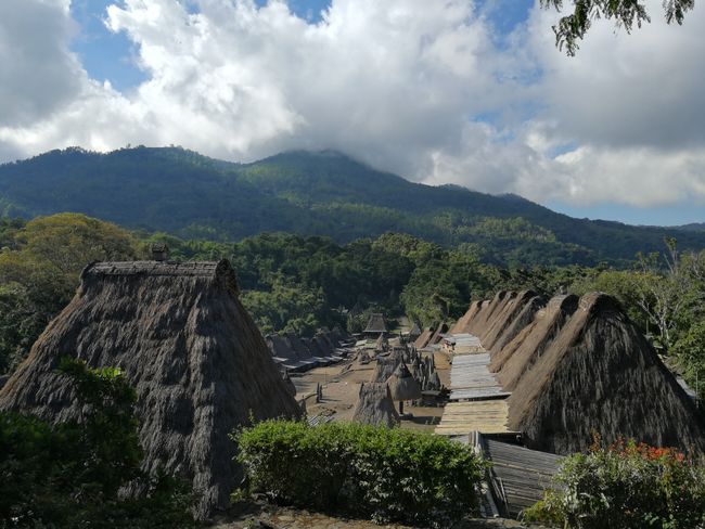 Surrounded by volcanoes, hot springs, and traditional villages in Bajawa