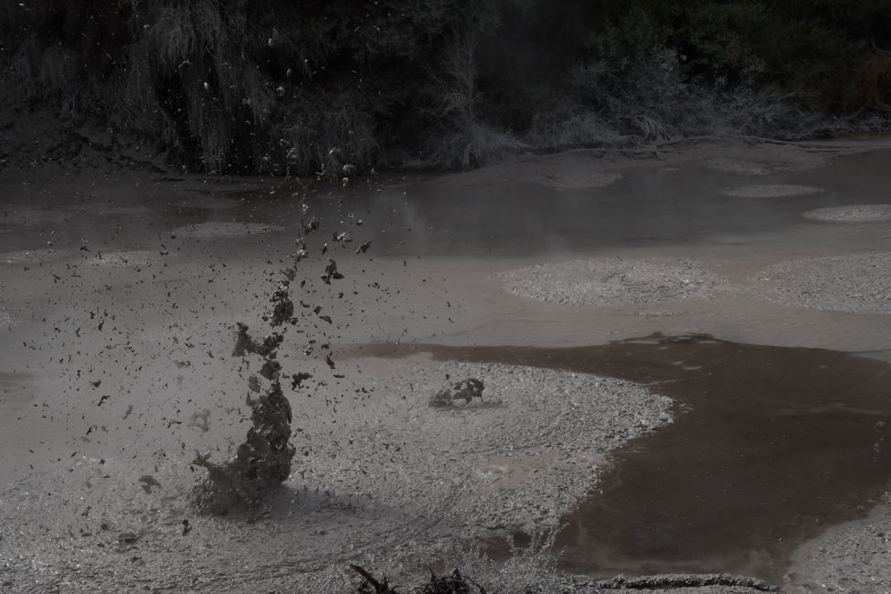 North Island - Rotorua - Waiotapu Thermal Area - Boiling Mud
