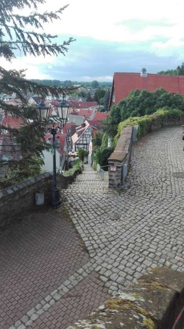 Photos from Zwingenberg