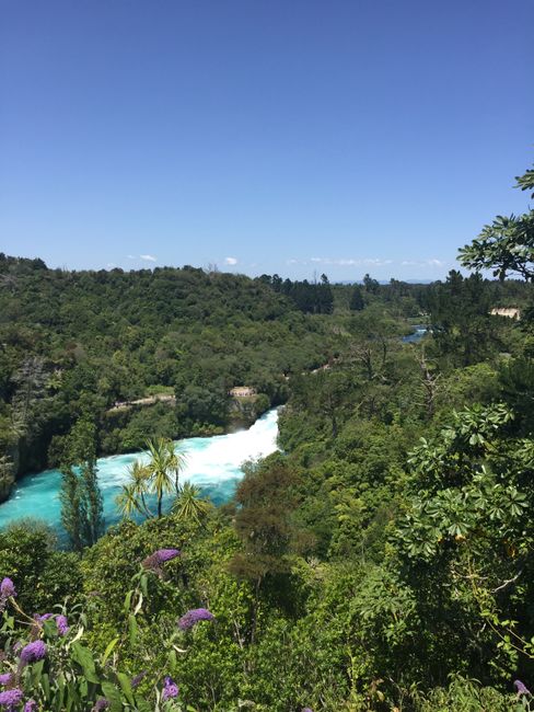 Family time Part 2 and the North Island of New Zealand