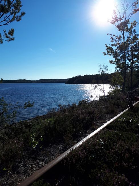Draisinenfahrt in der schwedischen Natur (02.09.2018)