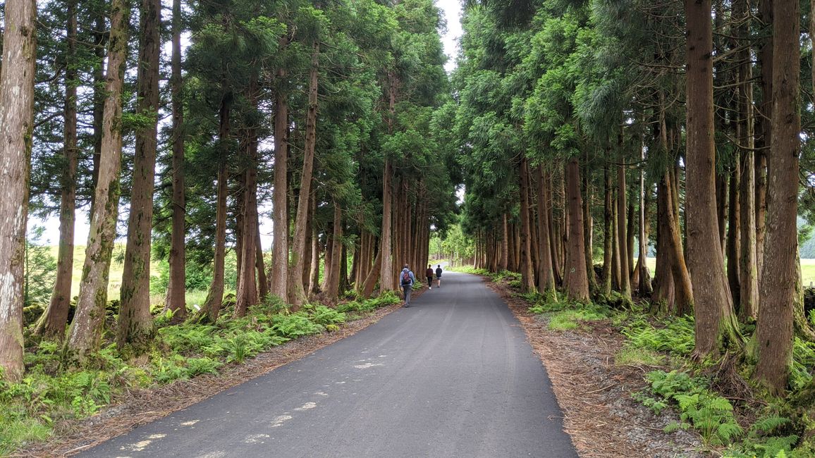 Tag 6: Wandern & Baden auf Terceira
