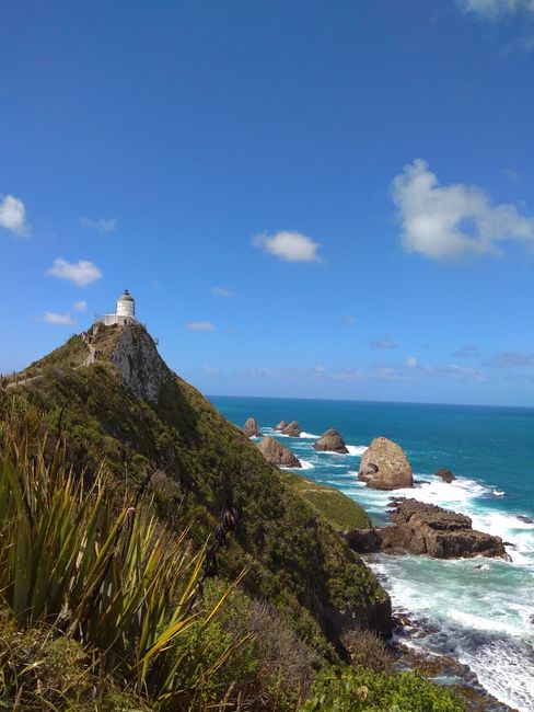 Lighthouse Nugget Point