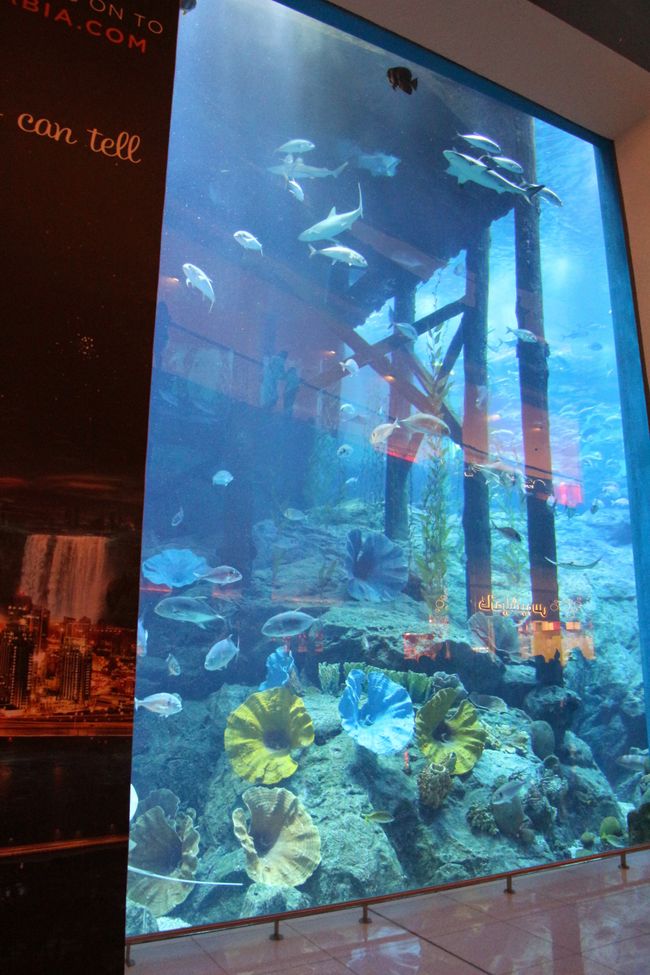 Tag 3 (2014) Dubai: Atlantis, Aquaventure, Burj Khalifa & Dubai Mall