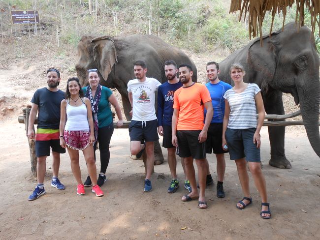 Of Trekking, Elephants, and French people