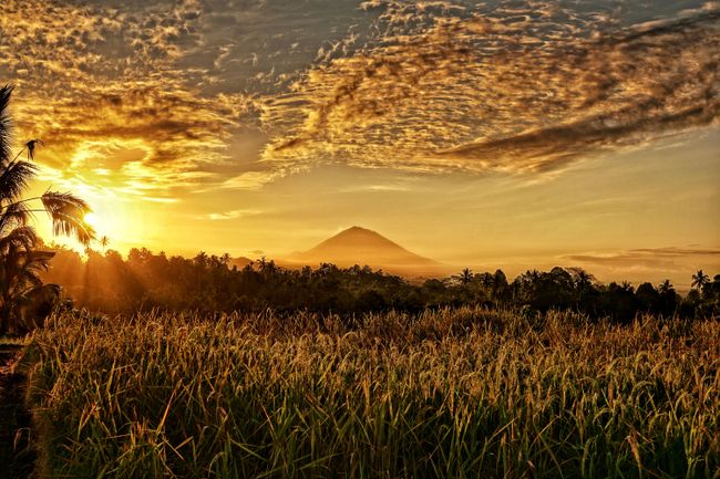 Sonnenaufgang über unseren ganz privaten Reisfeldern