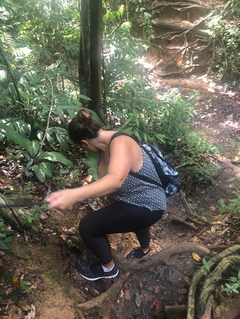 Etappe 3 - in the rainforest