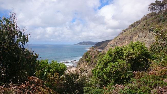 Viewpoint on the Great Ocean Road.