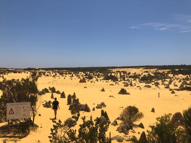 Pinanacles Desert