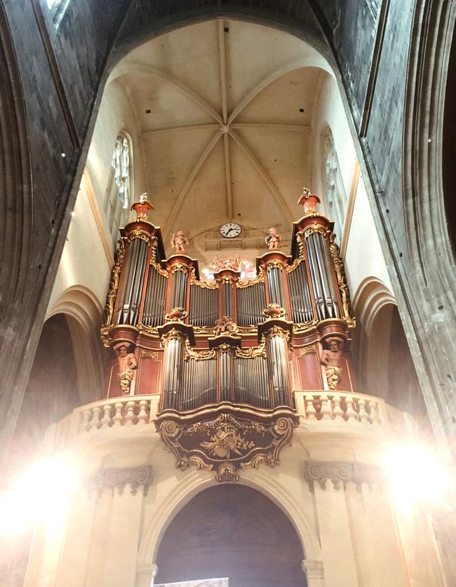 Orgel