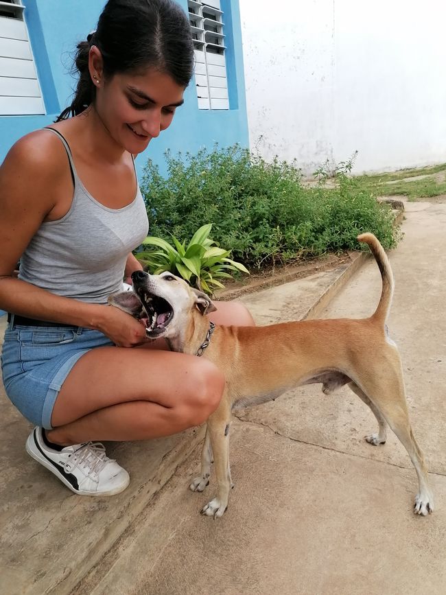Ghjornu 40,41 è 42: I nostri primi ghjorni in Cuba è a bella campagna di Vinalez
