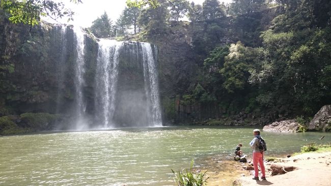 Waterfalls of Whangarei