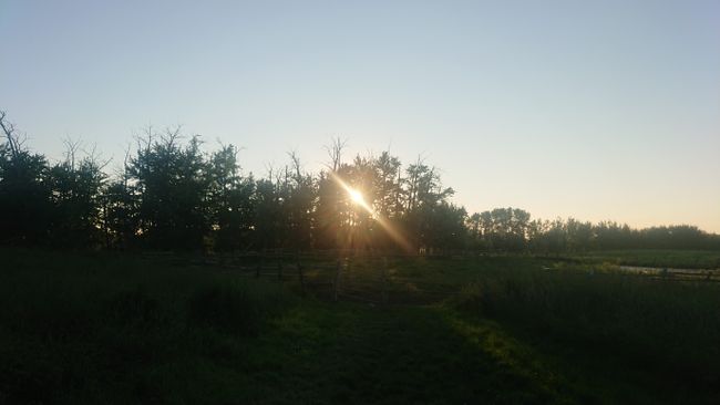 Sonnenuntergang auf der Sunwest Equine Ranch