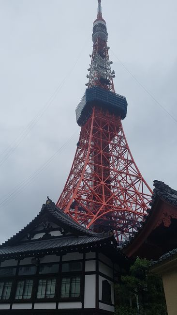 Harajuku, Shibuya, and Tokyo Tower