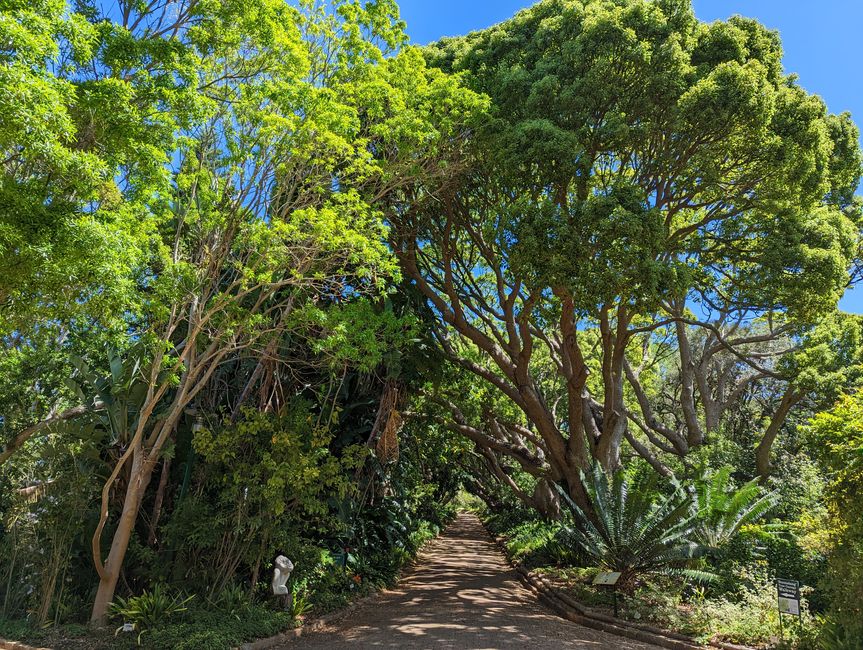 Kapstadt/Cape Town