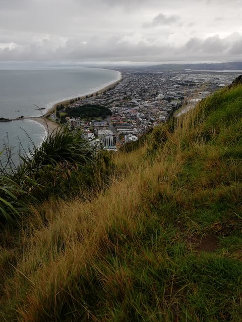 On top of Mt. Maunganui